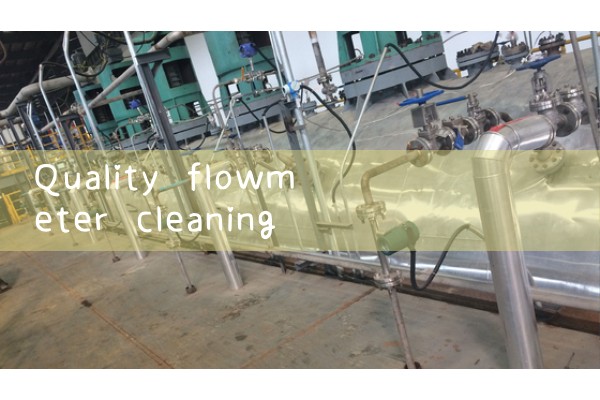 Quality flowmeter cleaning manufacturer